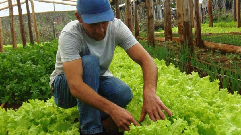 Capacitaron a productores de Huertas domiciliarias