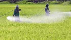El impacto de los herbicidas en el ambiente hay que mitigarlo con agronomía