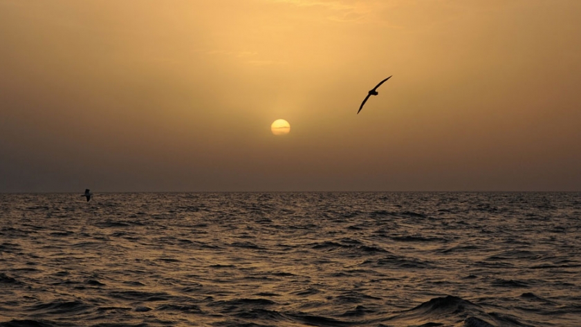 La temperatura en la superficie del mar promedió 21,4 grados durante enero