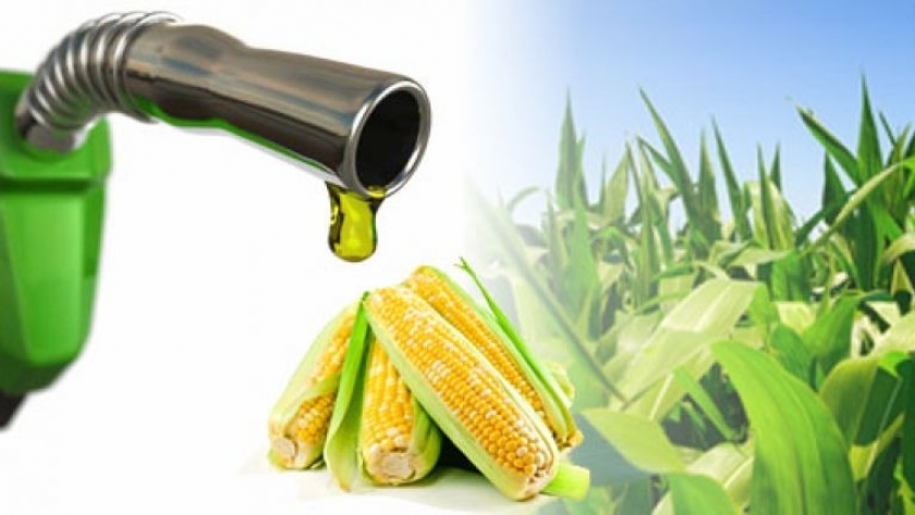 Producción de etanol en Córdoba: ¿Qué sucede si aumenta el corte de las naftas a nivel nacional?