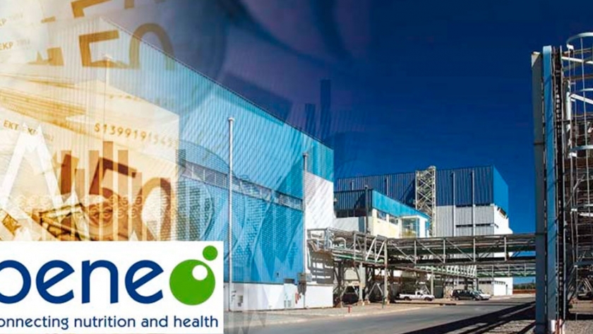 Gran inversión en Chile en una planta de achicoria