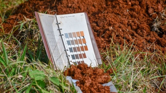 <Avanzan en la elaboración de la carta de suelos de Guaraní