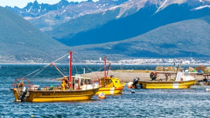 Se declaró la veda de moluscos en Punta Paraná por marea roja