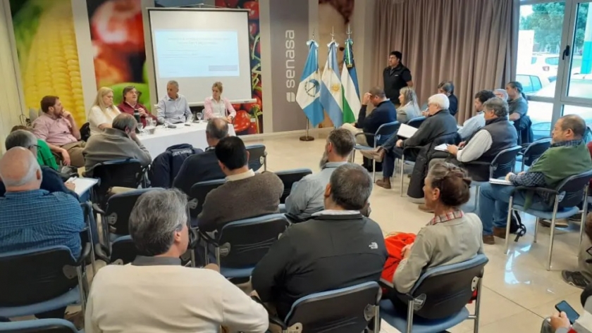Definen estrategias para el control y la erradicación de la sarna ovina