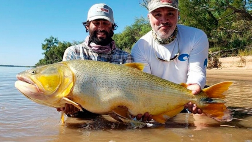 Pescan enorme dorado en el Río Paraná