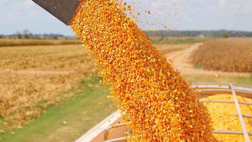 El clima puede retrasar la siembra de cultivos de safrinha en el centro de Brasil