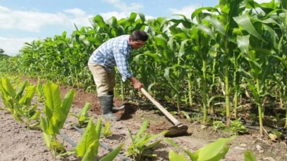<Lanzan red latinoamericana de negociadores comerciales del sector agroalimentario