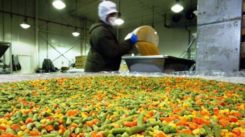 La exportación de hortalizas industrializadas mantiene un crecimiento sostenido