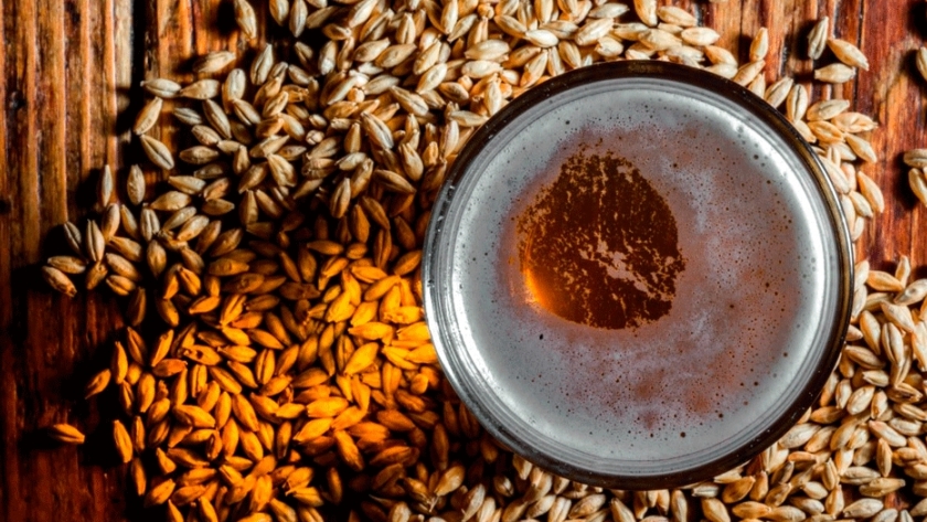 La cebada cervecera argentina necesita una estrategia comercial