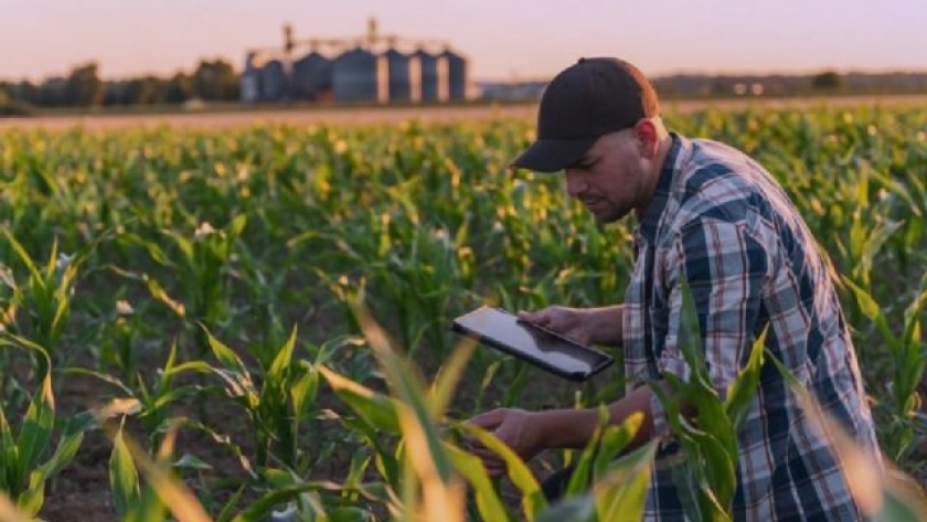 Soluciones digitales para acompañar al sector agropecuario