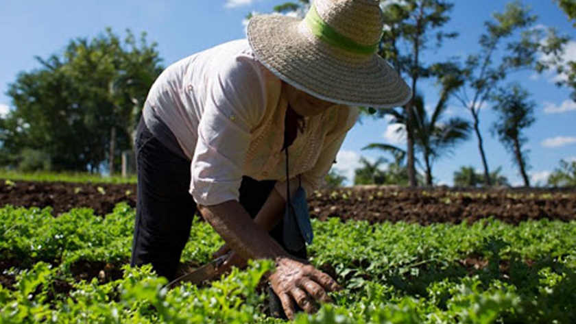 El Ministerio de Producción y una gran apuesta a la agroecología