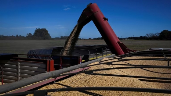 Soja en alerta: acuerdo con China, subsidios en EE.UU. y sequía local sacuden el mercado global