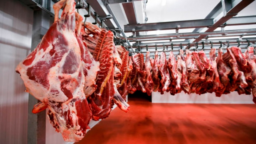 Cae la producción de carne bovina en los primeros meses del año