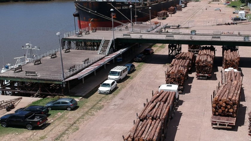 Todos los puertos de la provincia están operando bajo estrictos protocolos por la pandemia