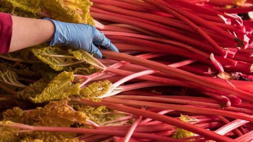 La agricultura totalmente orgánica podría aumentar las emisiones del Reino Unido