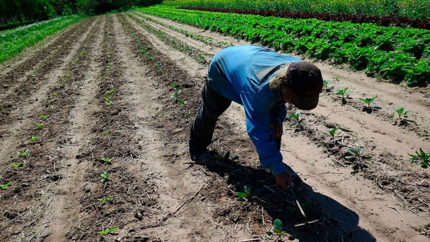 Una buena noticia para las pymes agropecuarias