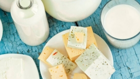 Desarrollan queso sin vacas: organismos biotecnológicos producen proteínas y grasa láctea