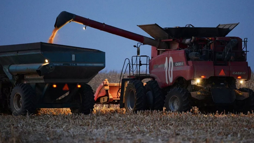 Rusia espera cosechar este año 120 millones de toneladas de cereales