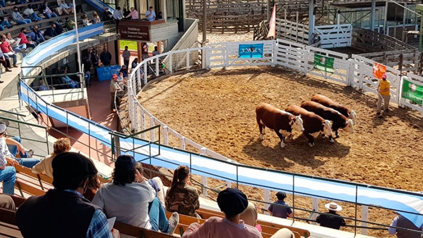 Con remate de reproductores finalizó exposición de ganadería de Gualeguaychú