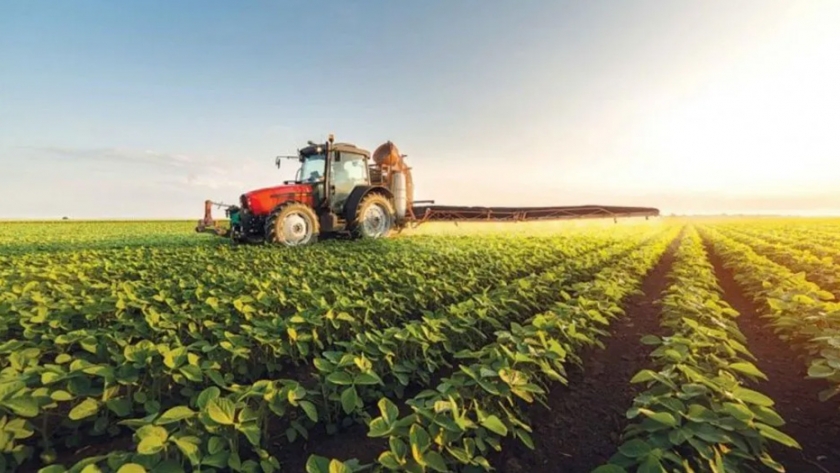 El Ministerio de Agricultura, Ganadería, Industria y Comercio informa sobre línea de financiamiento del CFI