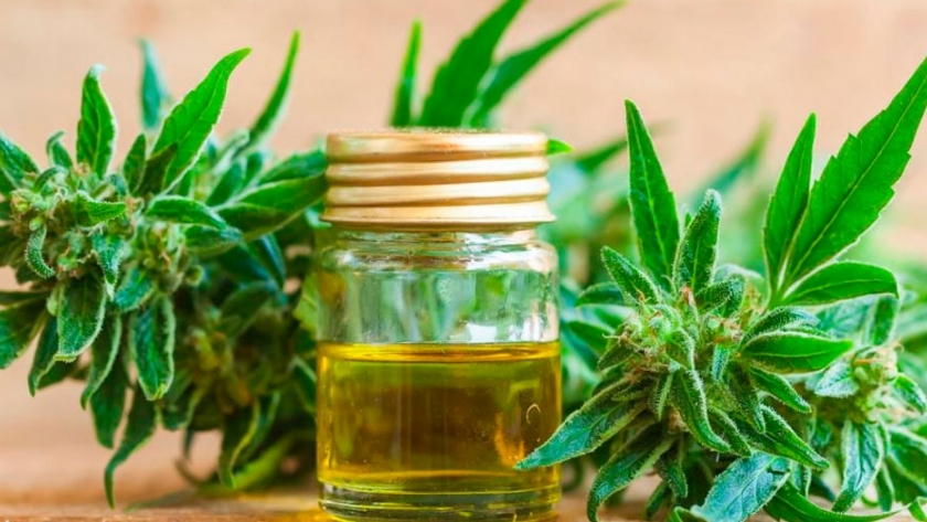 Canopy Growth se une a la UBA para educar e investigar sobre cannabis medicinal