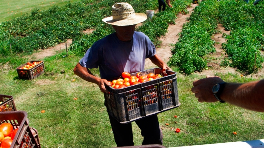Disponen constancia electrónica para traslado de trabajadores rurales