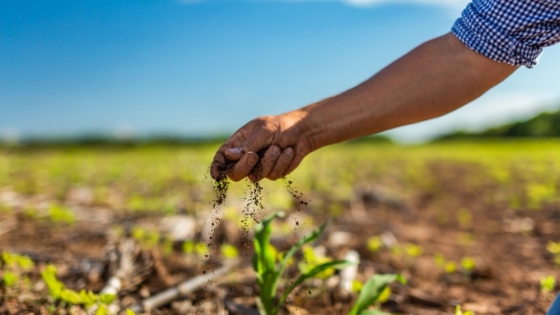 Syngenta en Aapresid pone el foco en la salud del suelo