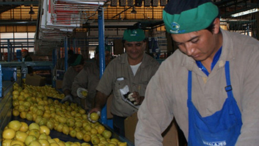 "Buscamos generar más trabajo para Tucumán"