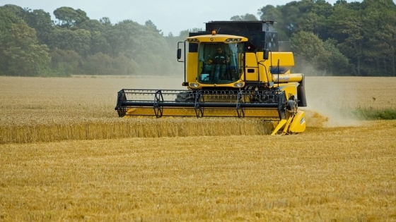 La campaña de trigo cerró en los campos bonaerenses con un volumen de 10,4 millones de toneladas