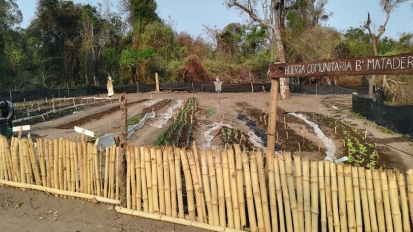 Cedeva promueve huertas en barrios de Misión Tacaaglé
