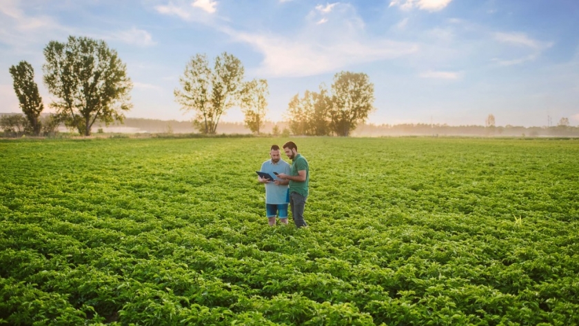 Agricultura regenerativa: Una empresa multinacional presenta su modelo