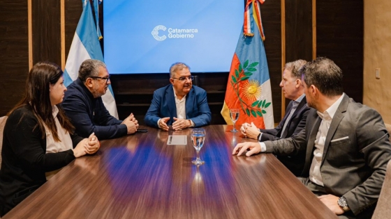 VIPSA Energía avanza con un parque solar sustentable en Santa María