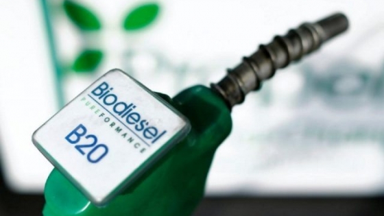 Suben precios de los biocombustibles