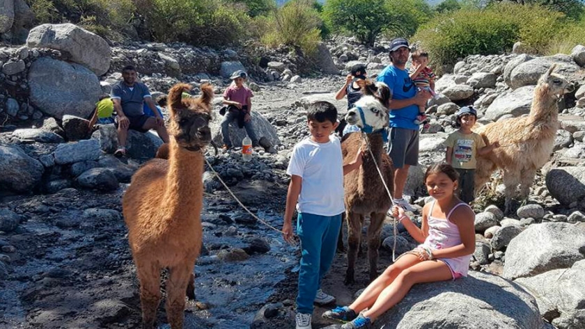 En Andalhuala, Catamarca, los Lagoria producen nueces y muestran bellos lugares a los turistas guiados por una llama