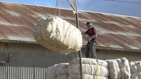 Exportaciones de lana argentina: crecieron 28% en volumen