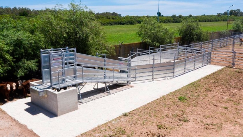 Diseño de Instalaciones de Arribo para Feedlot