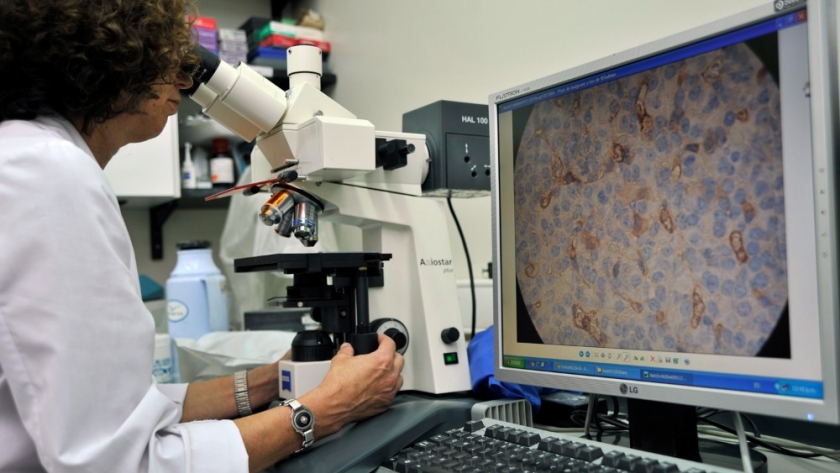 El Programa Federal “Equipar Ciencia” recibe solicitudes orientadas a equipamiento de bajo y mediano porte