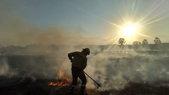 Inicia temporada alta de incendios forestales: la prevención es fundamental