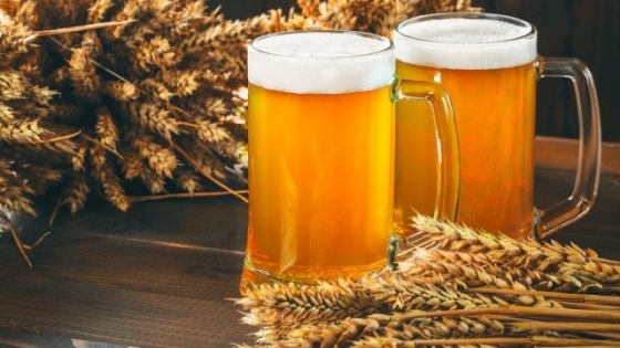 La cerveza también es agroindustria