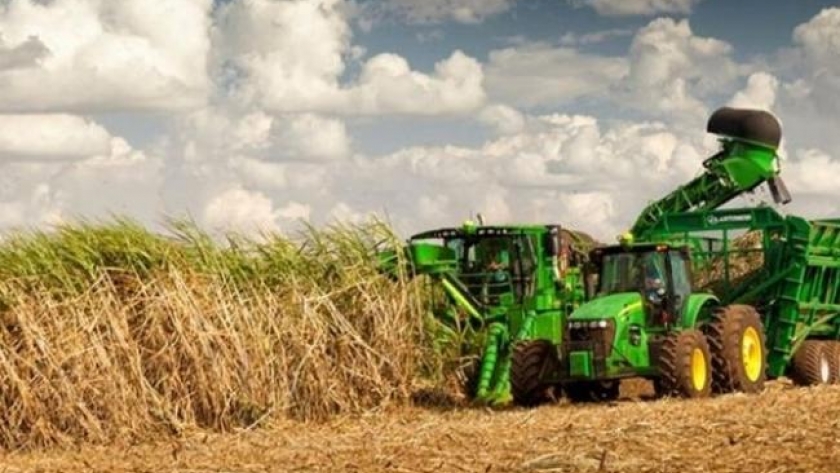 Se estima que está próxima a concluir la temporada de zafra