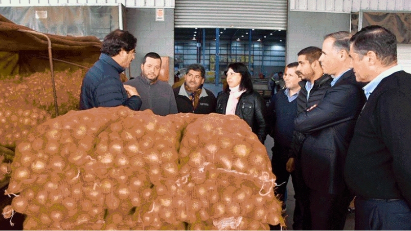 Productores de cebolla comenzaron a venderle a Carrefour