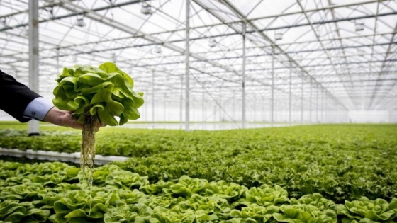<Revolución verde: el papel del control biológico en la agricultura sostenible