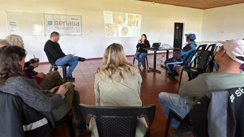 Jornada sobre Virus Rugoso del Tomate en el mercado mayorista de Mar del Plata