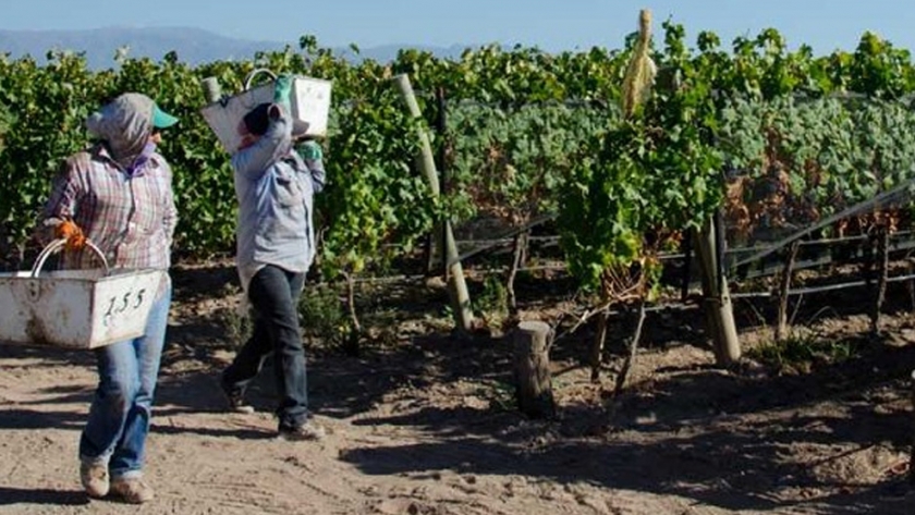 Agricultura y el INV presentaron la mesa de pronóstico de cosecha