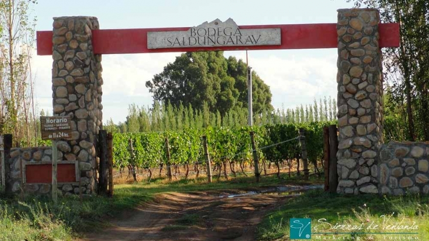 ¿Nueva provincia bodeguera? Comenzó a regir la ley vitivinícola en Buenos Aires