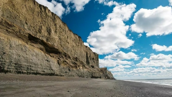 Monte Dinero revive: la costa patagónica abre sus puertas a los pescadores tras 30 años