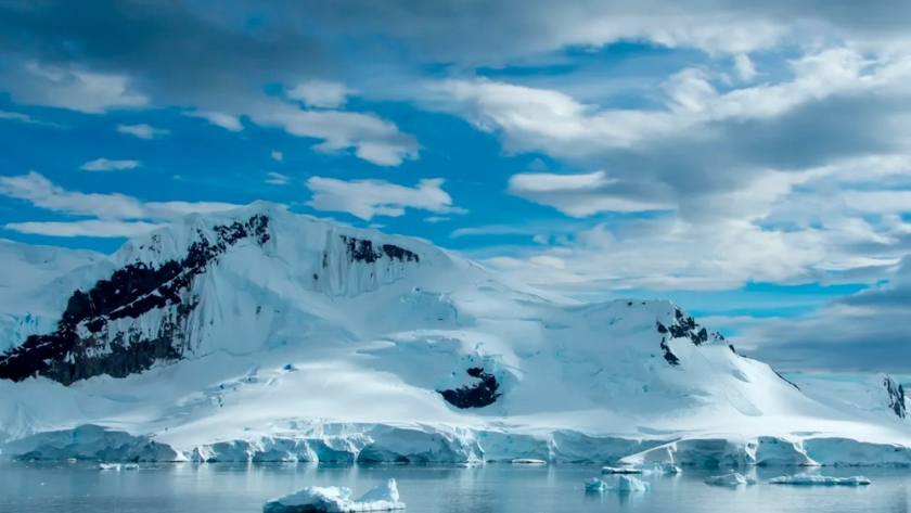 Una odisea de hielo y música: explorando las Malvinas y la Antártida con Paul Kelly y el Ocean Endeavour