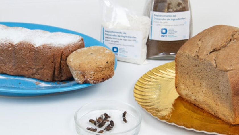 Estudian la harina de grillo como ingrediente proteico