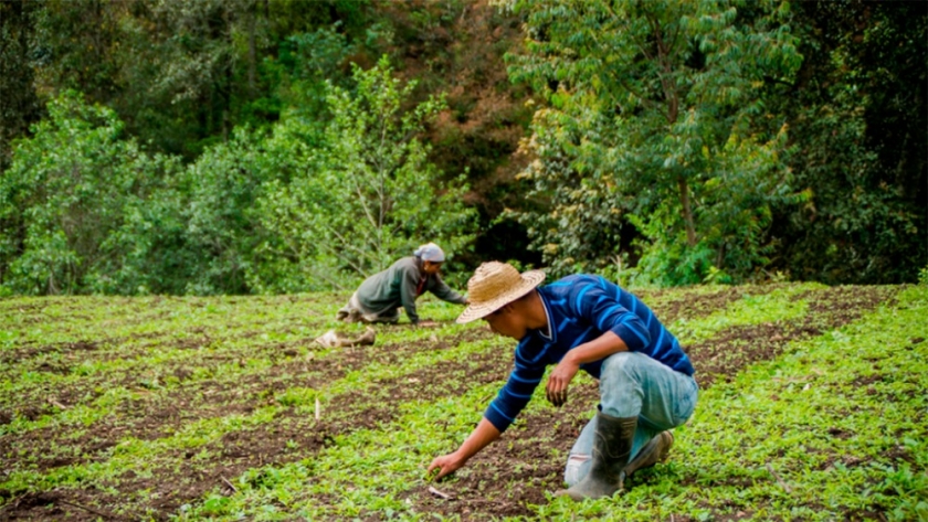 Financiarán proyectos en 23 países de América Latina y el Caribe