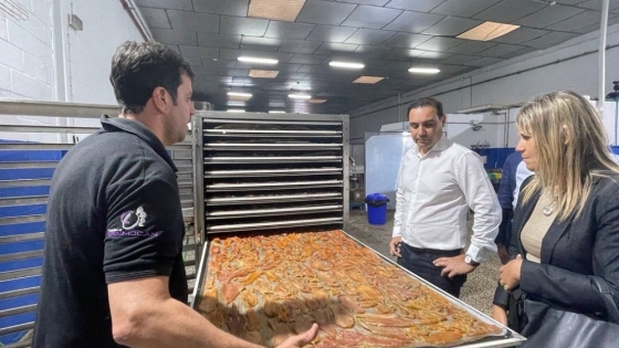<En España, Valdés visitó modernos sistemas para darle valor agregado a la industria alimenticia y a otras